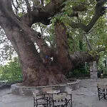 Pafili Διαμέρισμα