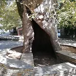 Pafili *