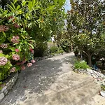 Pafili * Ζαγορά