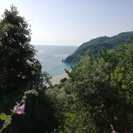 Apartament Pafili *