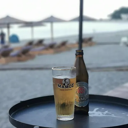 Apartament Pafili *