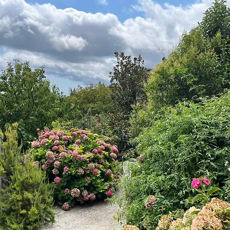 Pafili Apartamento *